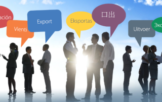 richtige Exportsprache sprechen