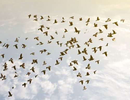 14 B2B Content Marketing Fakten und was sie für Ihr Unternehmen bedeuten